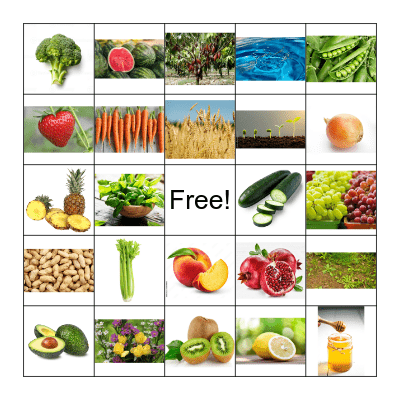 FOOD & GARDEN Bingo Card