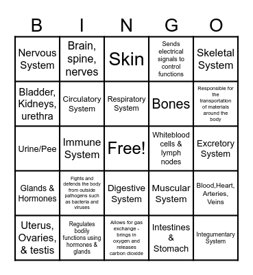 Body Systems Bingo Card