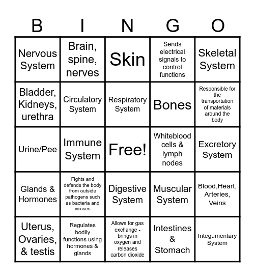 Body Systems Bingo Card