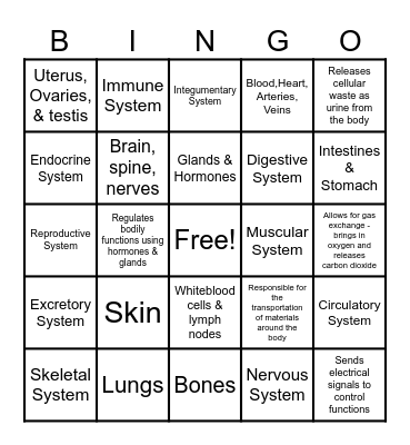 Body Systems Bingo Card