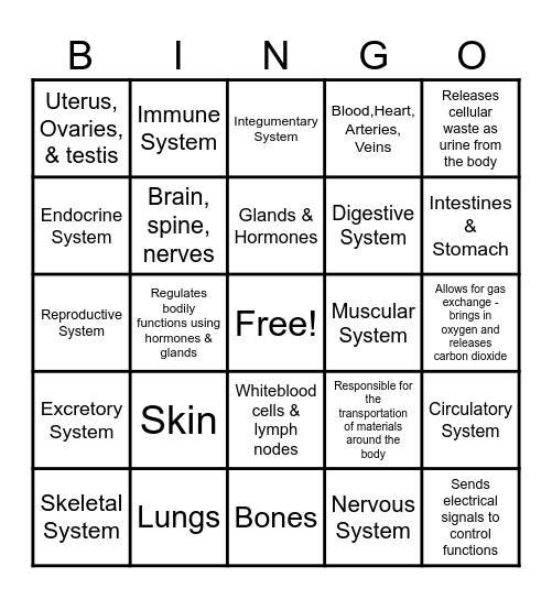 Body Systems Bingo Card