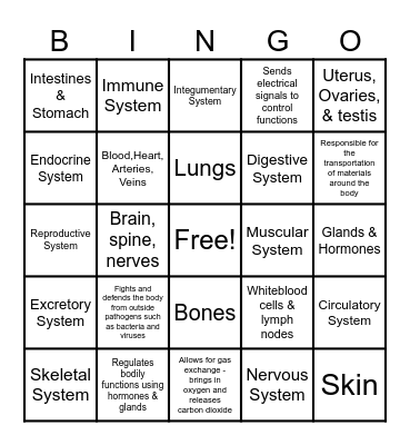 Body Systems Bingo Card