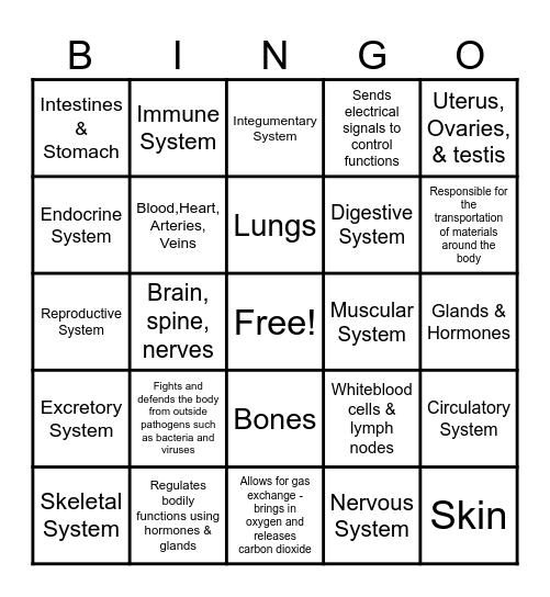 Body Systems Bingo Card