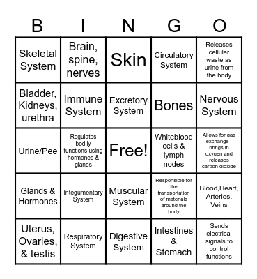 Body Systems Bingo Card