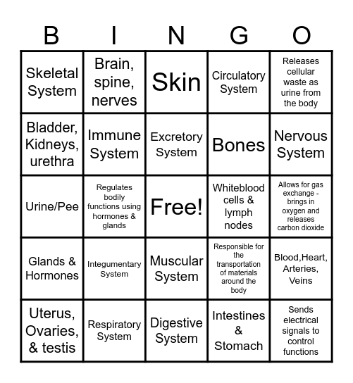 Body Systems Bingo Card