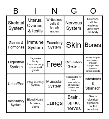 Body Systems Bingo Card