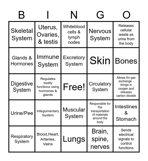 Body Systems Bingo Card