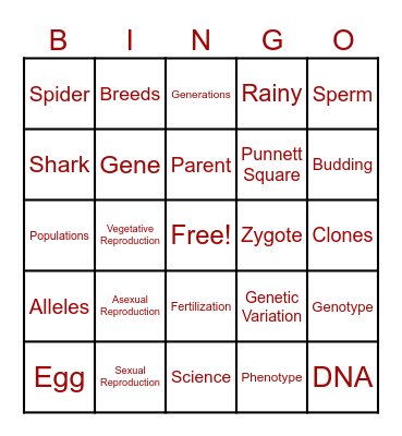 Reproduction Bingo Card