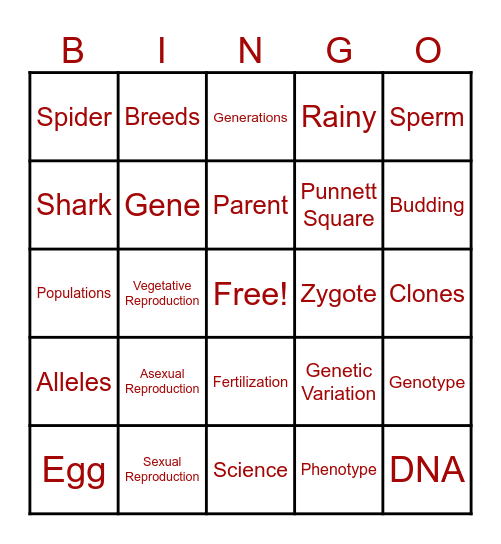 Reproduction Bingo Card