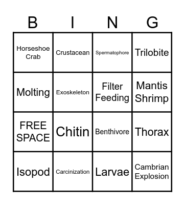 Phylum Arthropoda Bingo Card