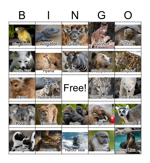Dog Bingo Card