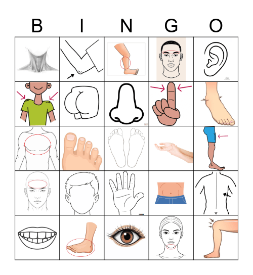 Testrészek Bingo Card