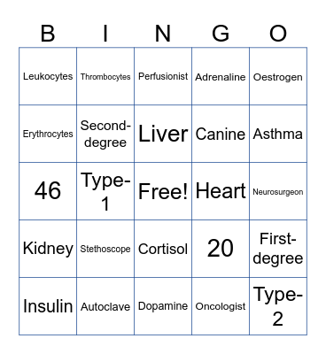 MED FACTS Bingo Card