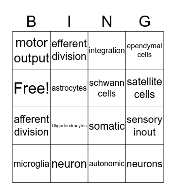 nervous system Bingo Card