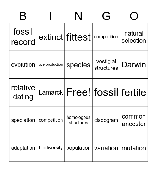 Evolution Bingo Card