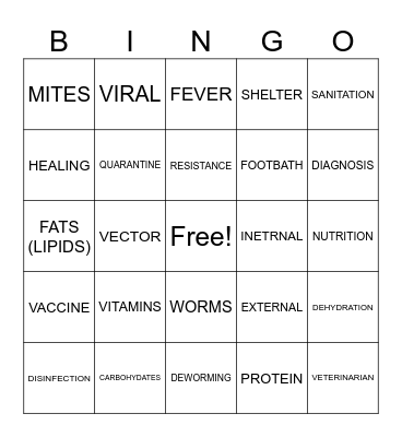 ANIMAL HEALTH Bingo Card