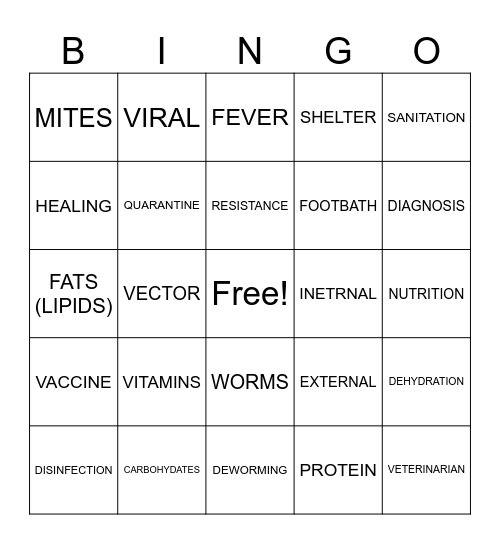 ANIMAL HEALTH Bingo Card