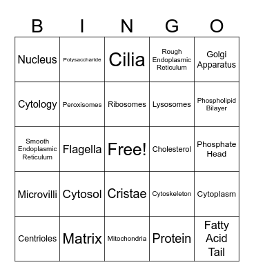 Cell Parts and Functions Bingo Card
