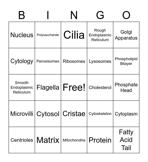 Cell Parts and Functions Bingo Card