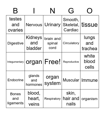 Body Systems Bingo Card