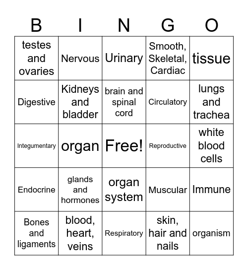Body Systems Bingo Card