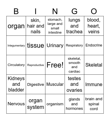 Body System Bingo Card