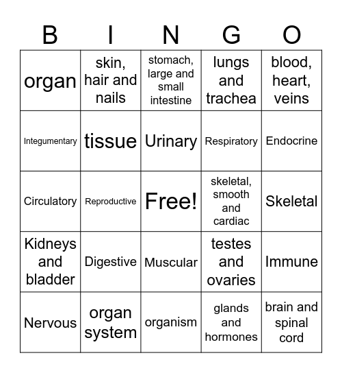 Body System Bingo Card