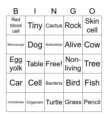 Cells Bingo Card