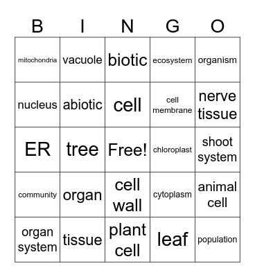 Cell Organelles and Organization Bingo Card