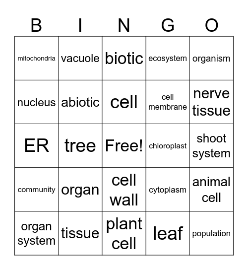 Cell Organelles and Organization Bingo Card