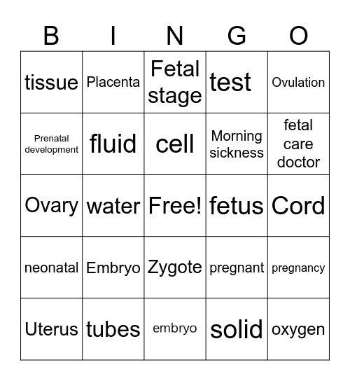 the embryo becomes a fetus Bingo Card