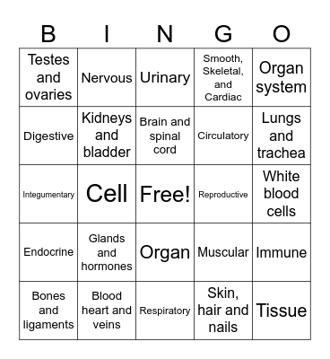 Body Bingo Card