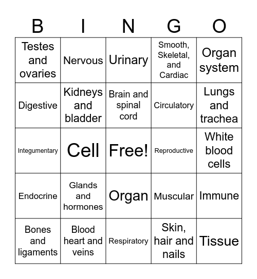 Body Bingo Card