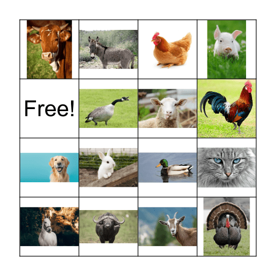 Farm animals Bingo Card
