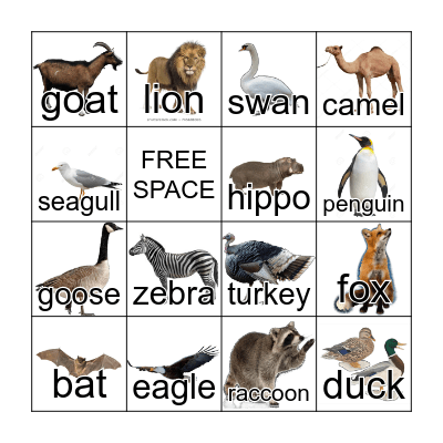 Animal Bingo Card
