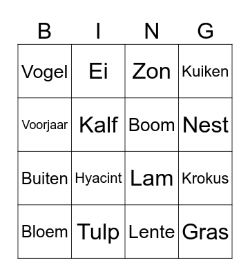 Lente Bingo Card