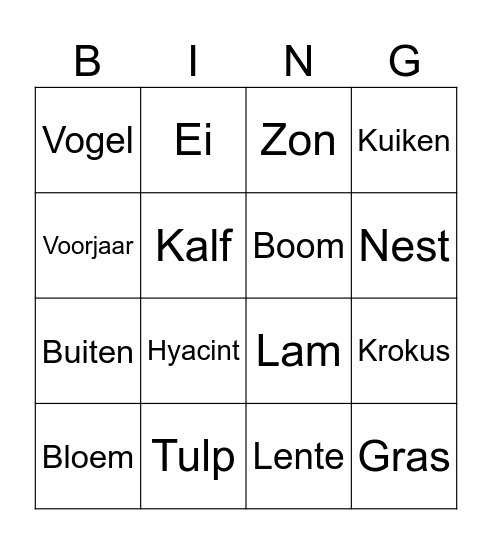 Lente Bingo Card