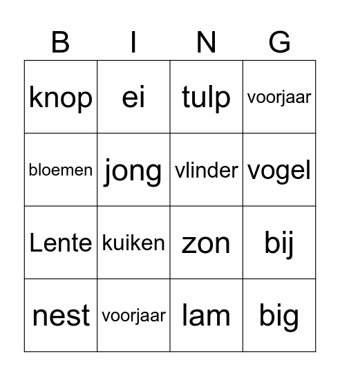 Lente Bingo Card