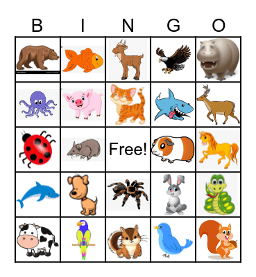 ANIMAL Bingo Card