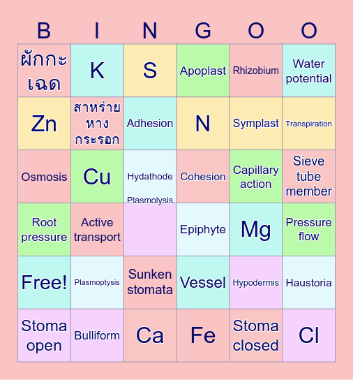 Biology Bingo Card