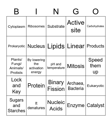 Pro v Eu / Biomolecules / Enzymes Bingo Card
