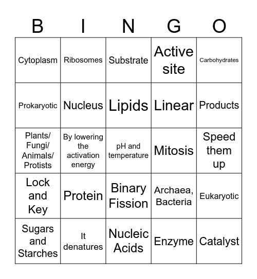 Pro v Eu / Biomolecules / Enzymes Bingo Card