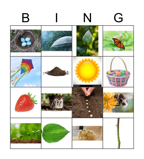 Spring Bingo Card