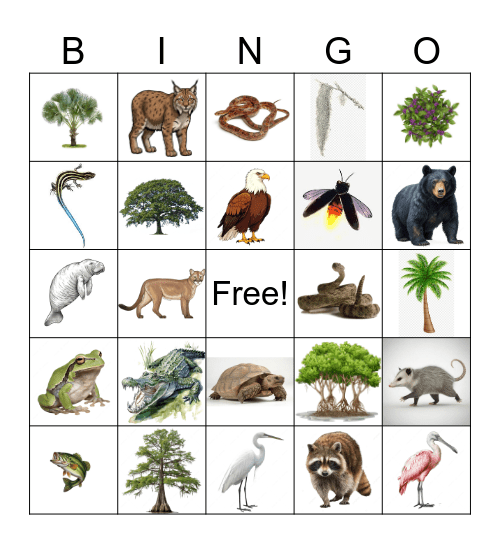Florida Nature Bingo Card