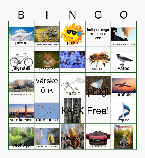 Õuetund (õhk) Bingo Card