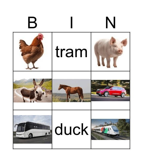 Animals and transport Bingo Card