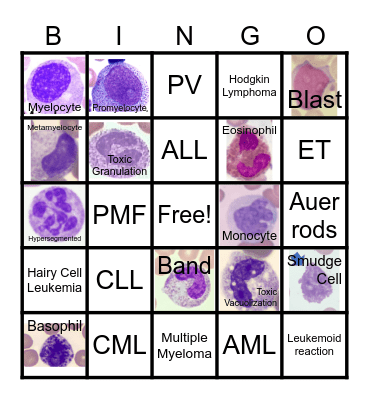 WBC Bingo Card