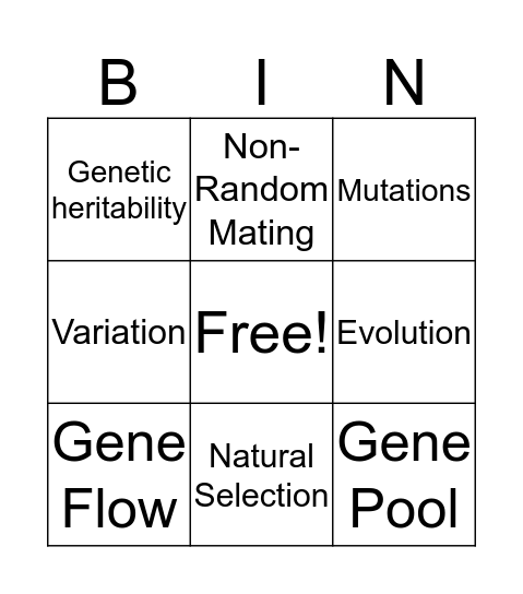 Evolution  Bingo Card