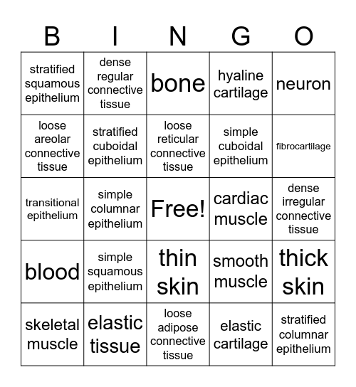 Histology Bingo Card
