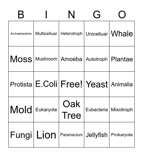 6 Kingdoms of Life Bingo Card